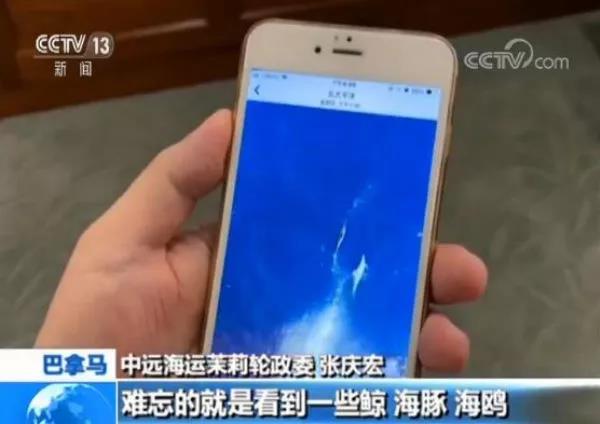 1544152993434429.jpg 微信图片_20181207112059.jpg