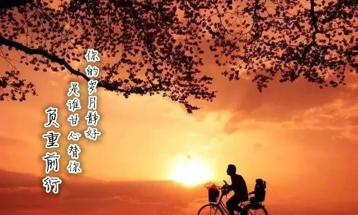 1546995618566654.jpg img1546992902_300.jpg