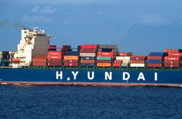 1555826975205303.jpg img1550041827_343.jpg